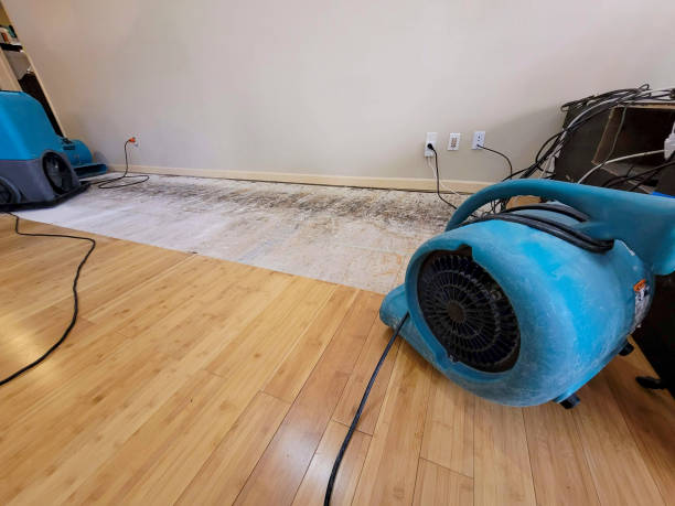 Professional Burst Pipe Water Damage technician working in Woodberry Forest, VA